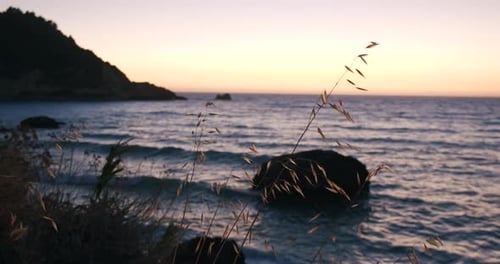 Beautiful slow motion of grass and sea waves in the evening. Stony rocky beach in golden hour.