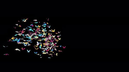 Vibrant Butterflies Swarm Flying Transition