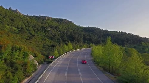 road in the forest