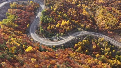 Aerial View Of Colorful Forests And Highway In Autumn