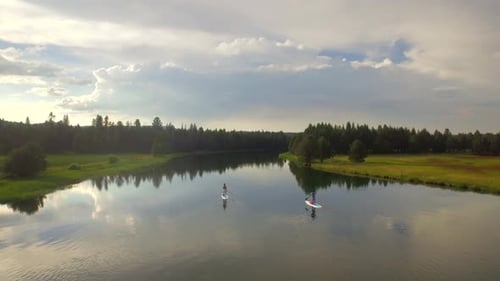 Aerial View of Paddle Boarders Riding Across Lake by Green Forest And