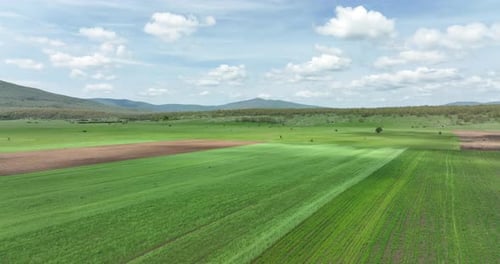 Vista aérea de terras agrícolas. Campos verdes exuberantes, alguns mostrando diferentes estágios de crescimento, se estendem até