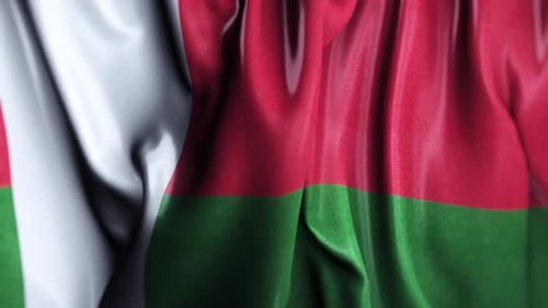 Realistic Waving Flag of Madagascar Animation