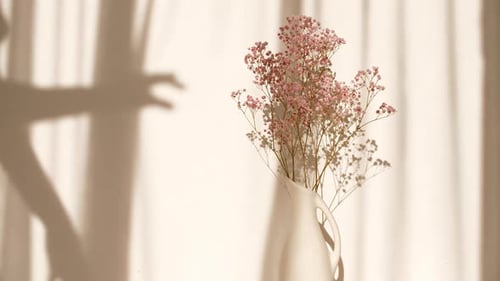 Light and Shadows of Girl's Hands and Waving White Tulle Near the Window Pink Flowers in a Vase