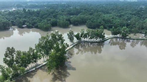 Aerial view of flooded area with trees, Bangladesh.
