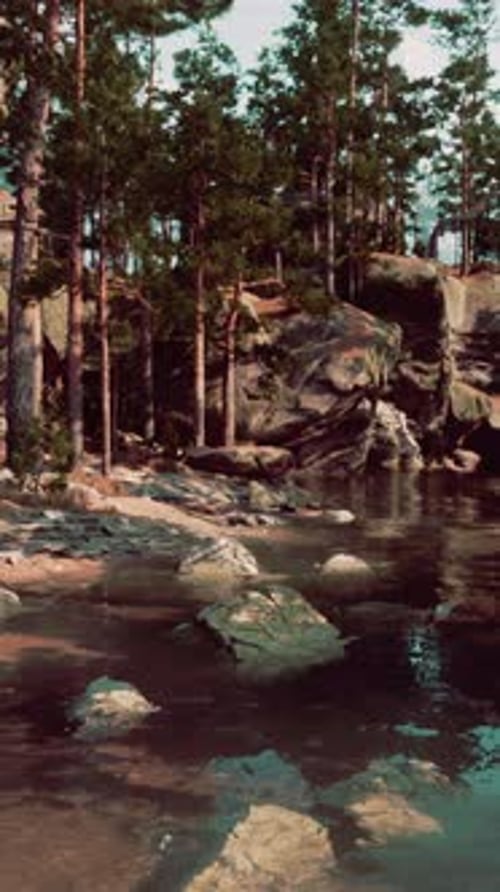 River Flowing Through Rocky Forest