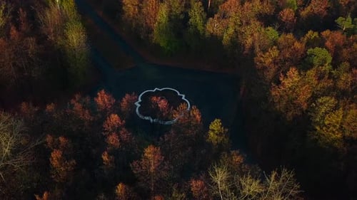 Top view of fountain and roads in autumn forest