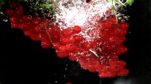 Red Currant Falls Into a Whirlpool