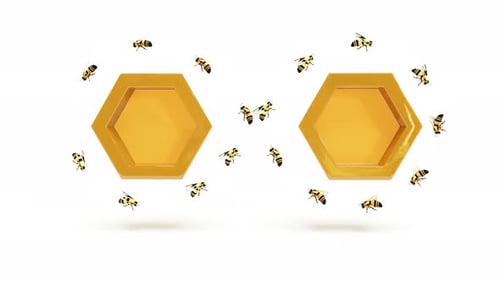 Honeycombs of Bees Move Sign Endless