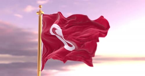 Tunisia Flag Waving on Flagpole