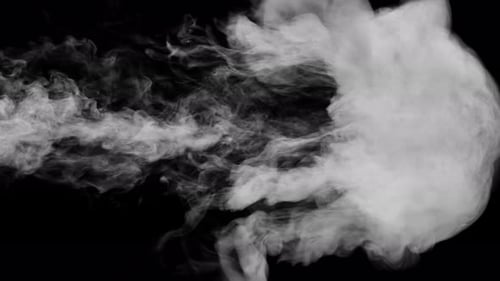 Burst Of Smoke Puff Transition Alpha Channel