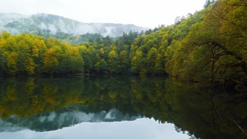 Autumn Forest Reflection on Tranquil Lake