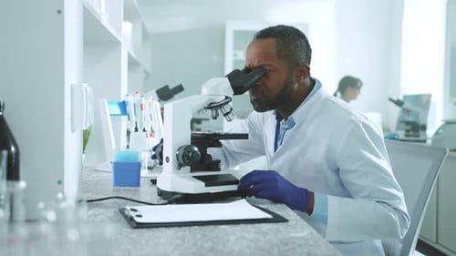 Scientist Works with Microscope in Bright Laboratory