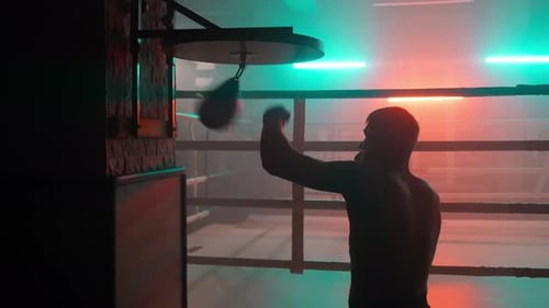 Fast Boxer Training
