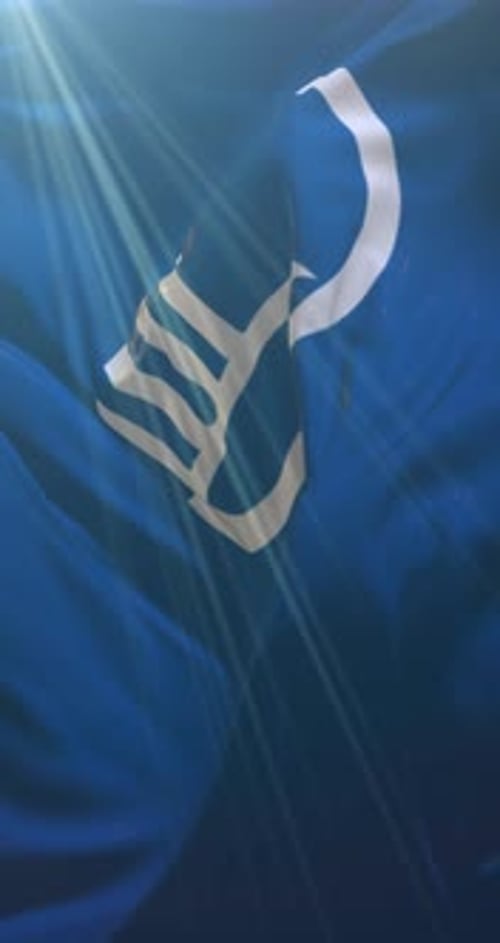 Drapeau du Conseil nordique
