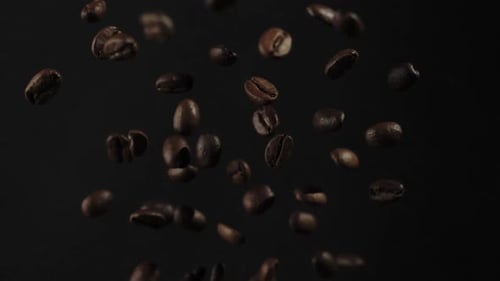 Geröstete Kaffeebohnen fliegen, nachdem sie auf schwarzem Hintergrund explodiert sind. Frische fliegende Kaffeebohnen