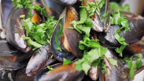 Plateful of Steamed Mussels Topped with Herbs