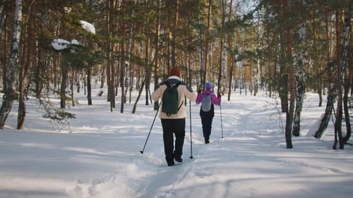 Unrecognizable Couple of Pensioners Practicing Nordic Walking in Snow in Park