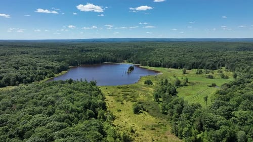 A beautiful aerial view of the rolling hills covered in trees creating a huge wilderness with a lake