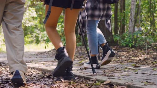 Grupo de mochileiros asiáticos se divertindo viajando juntos pela floresta.