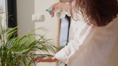 Woman Caring for Indoor Palm Plant with Water Mister