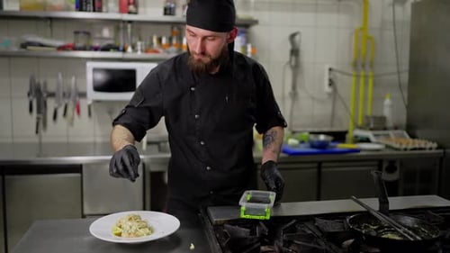 Chef Prepares Gourmet Meal in Restaurant Kitchen