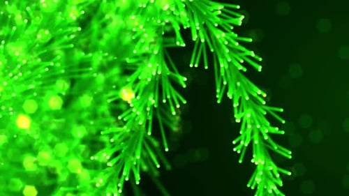 Fluid Green Digital Branches with Glowing Particles Abstract Loop