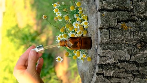 Aromatherapy Bottle With Chamomile Essence on Stump