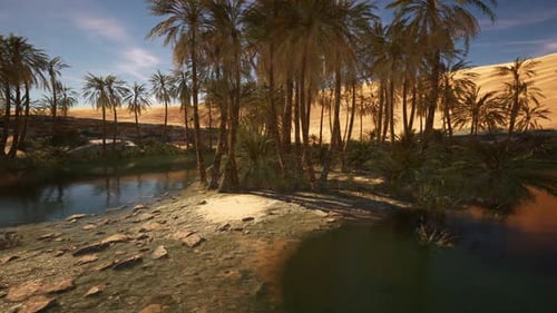 Desert Oasis with Palm Trees and Serene Water in a Golden Landscape