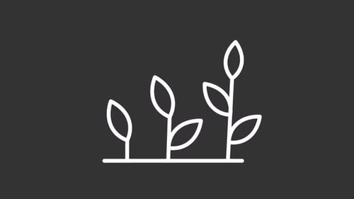 Plant development white line animation