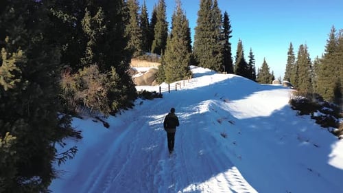 Aerial View of a Man Walking Alone on a Snowy Path in a Mountain Forest on a Sunny Winter Day
