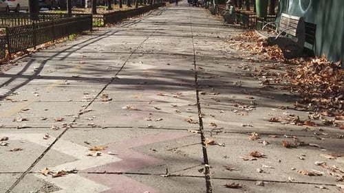 Autumn Leaves on an Urban Walkway
