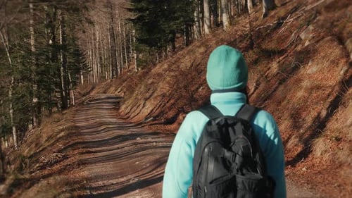 Female in sports clothes with backpack walking in autumn forest at sunny day
