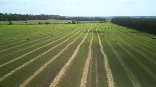Round Hay Bales on the Green Field