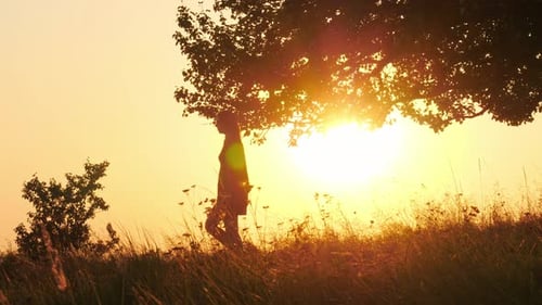 Siluetas de niña paseando por el prado con su perro durante una increíble puesta de sol