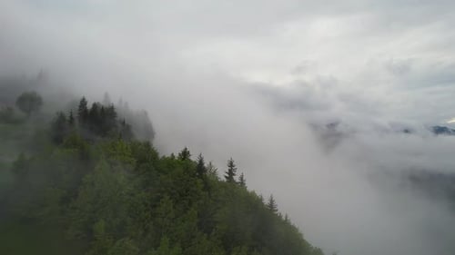 Mystical Forest In The Mountains Covered With Clouds. Cloudy Nature Aerial Background