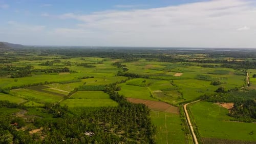 Agricultural Landscape in the Countryside Sri Lanka