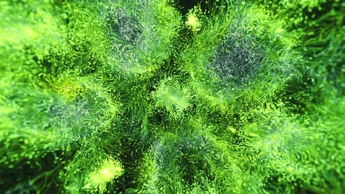 Dynamic Green Colorful Explosive Particles