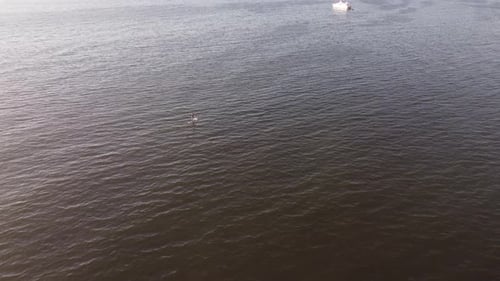 Aerial shot of person paddling on stand up paddle during sunset time on coastline of Atlantic Ocean