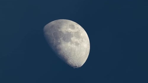 Detailed Half Moon Shines in the Night Sky