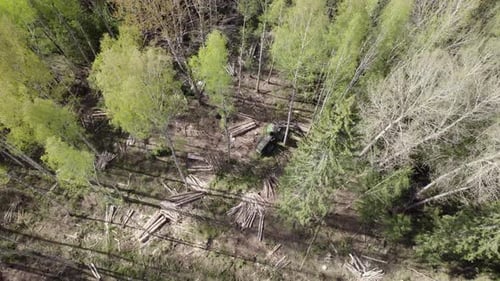 Luftbild einer Baumerntemaschine, die einen grünen Wald abholzt