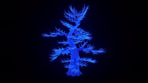 Holographic Japanese Pine Tree Growth 3D Animation