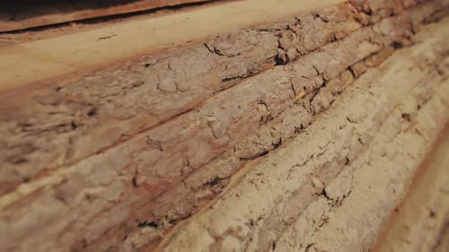 Wood Factory Stock and Lumber Board with Nature Business Export the Camera Moves Forward Slow Motion