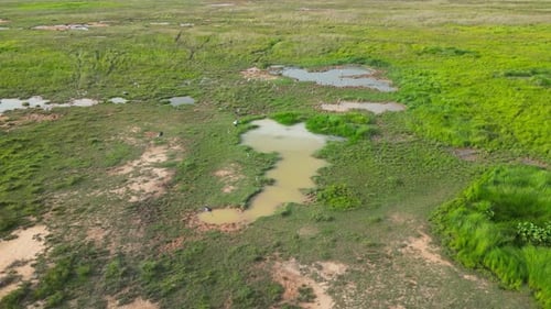 An aerial view of a grassy area with a pond
