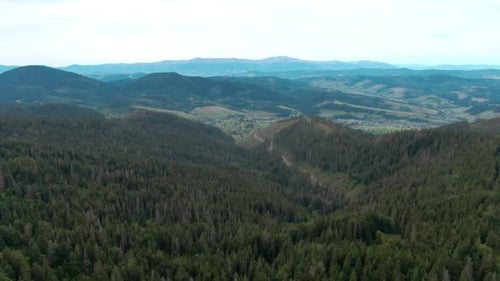Wide Shot Green Carpathian Mountains in the Morning Calm Beautiful Landscape Aerial View