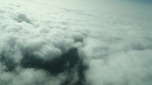 Pasando por el bosque sobre las nubes