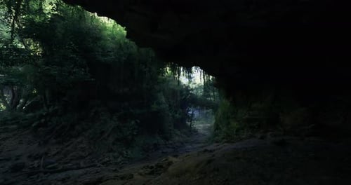 Forest Cave Entrance Revealing Lush Greenery in Tranquil Nature Setting