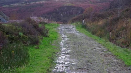 Pathway, Country Trail, leading through woodlands along the side of a moorland river. Winters scene