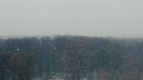 Starker Schneefall über einem dunklen Winterwald