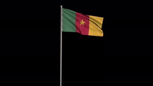 Cameroon National Flag Waving Animation